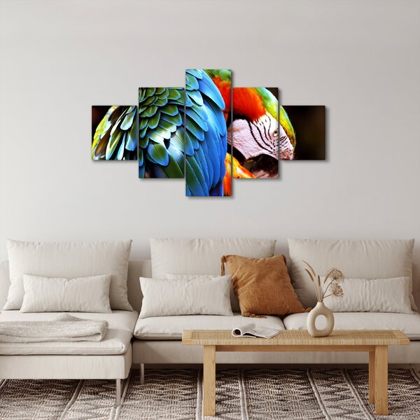 Obraz - Papuga (125x70 cm)