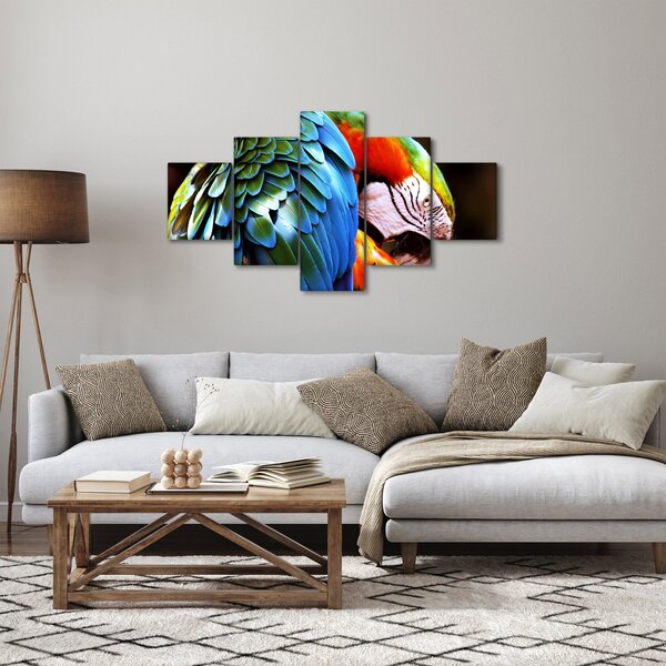 Obraz - Papuga (125x70 cm)