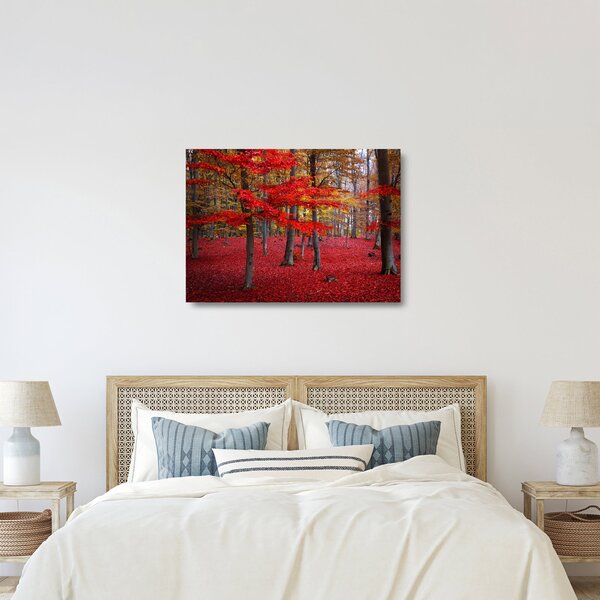Obraz na szkle - Czerwony Las (70x50 cm)