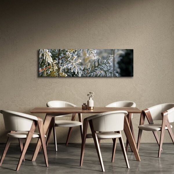 Obraz - Detal gałęzi (170x50 cm)