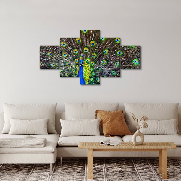 Obraz - Paw (125x70 cm)