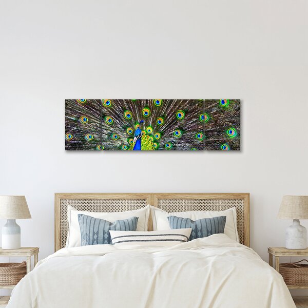 Obraz - Paw (170x50 cm)