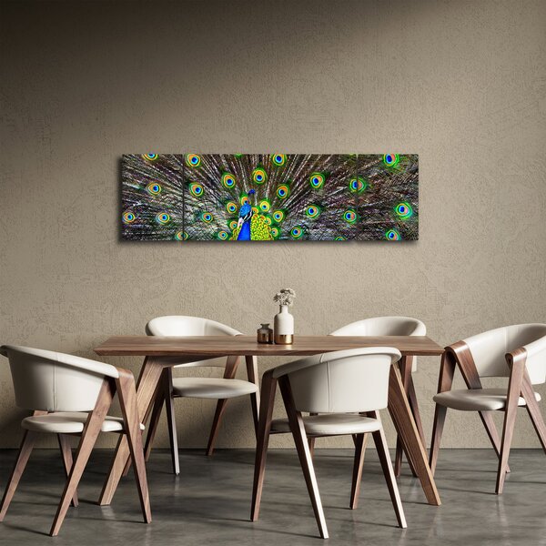 Obraz - Paw (170x50 cm)