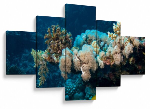 Obraz - W oceanie (125x70 cm)