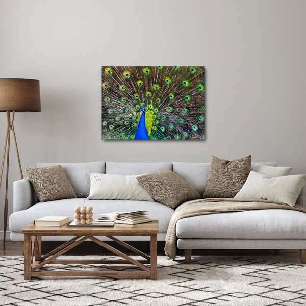Obraz - Paw (70x50 cm)