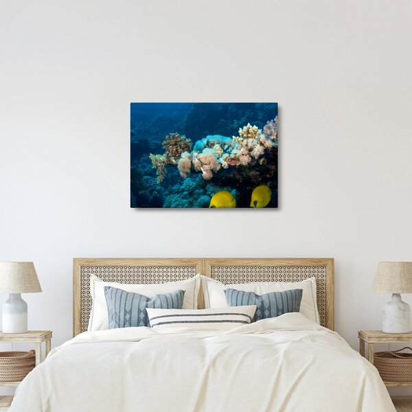 Obraz - W oceanie (70x50 cm)