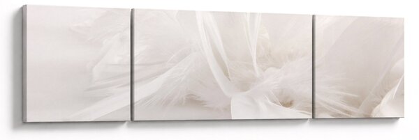 Obraz - Pióro (170x50 cm)