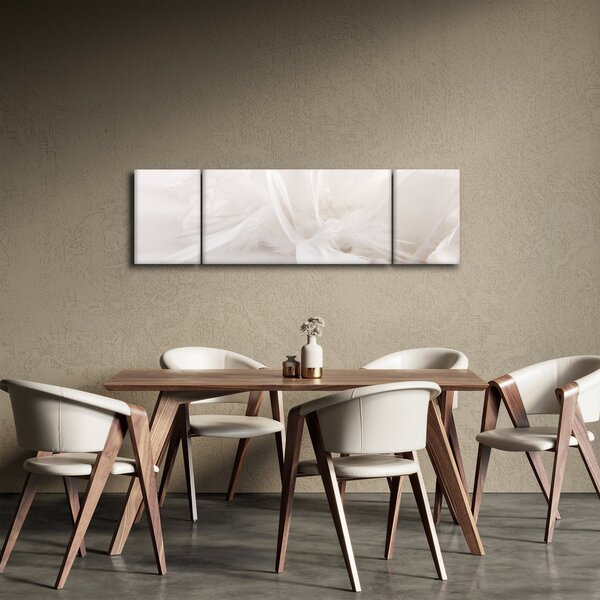 Obraz - Pióro (170x50 cm)