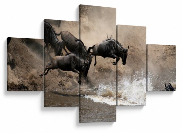 Obraz - Stado antylop gnu (125x70 cm)