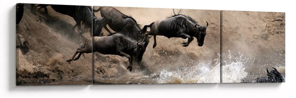 Obraz - Stado antylop gnu (170x50 cm)