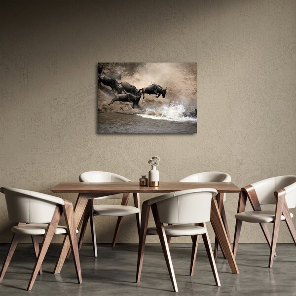 Obraz - Stado antylop gnu (70x50 cm)