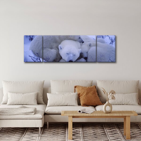 Obraz - Niedźwiadki polarne (170x50 cm)