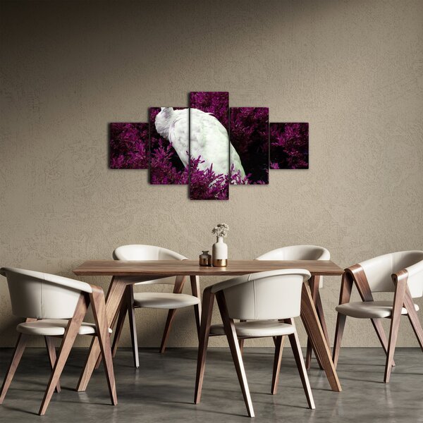 Obraz - Biały paw (125x70 cm)
