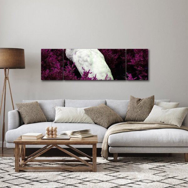 Obraz - Biały paw (170x50 cm)