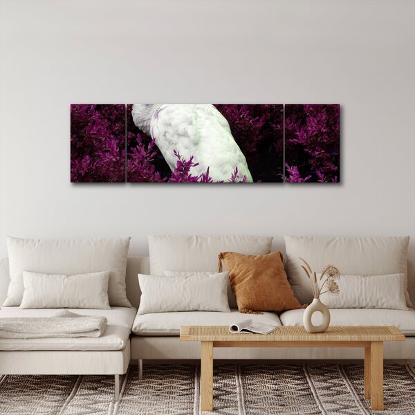 Obraz - Biały paw (170x50 cm)