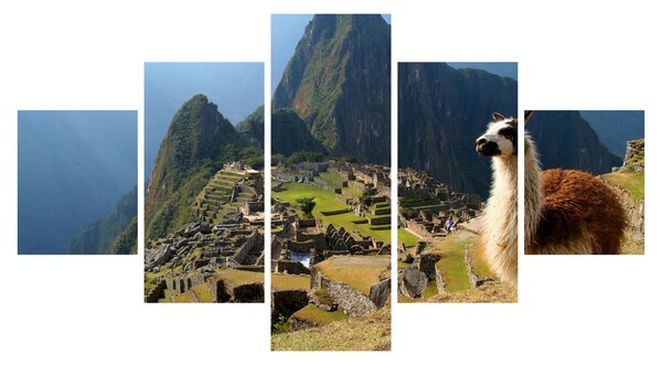 Obraz - Lama i Machu Picchu (125x70 cm)