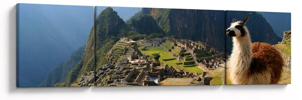 Obraz - Lama i Machu Picchu (170x50 cm)