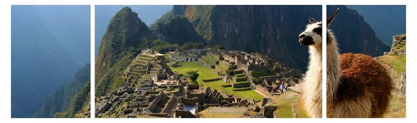 Obraz - Lama i Machu Picchu (170x50 cm)