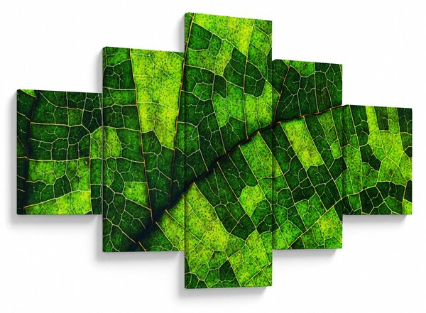 Obraz - Detal liścia (125x70 cm)