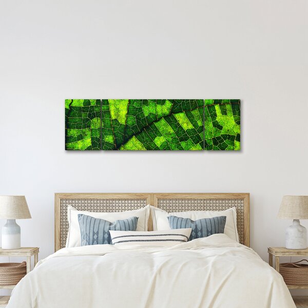 Obraz - Detal liścia (170x50 cm)