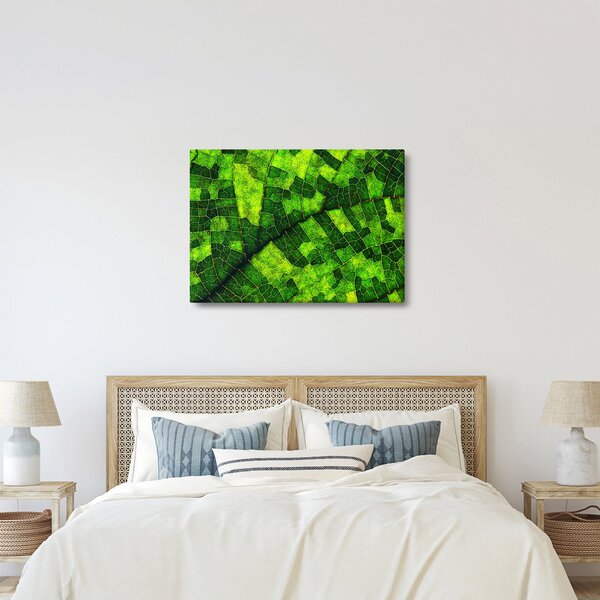 Obraz - Detal liścia (70x50 cm)