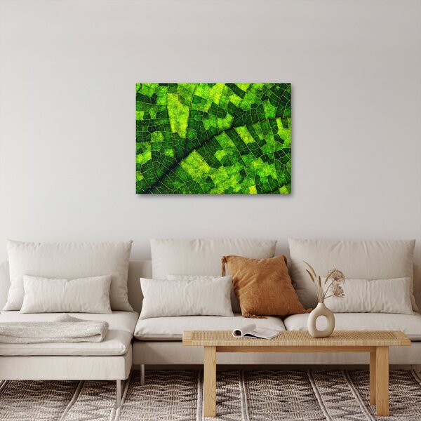 Obraz - Detal liścia (70x50 cm)