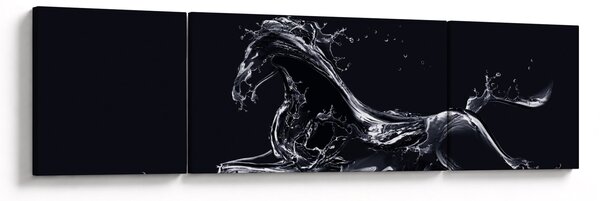 Obraz - Koń i woda (170x50 cm)