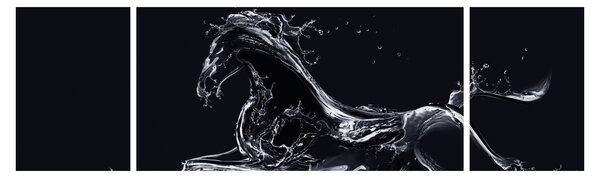 Obraz - Koń i woda (170x50 cm)