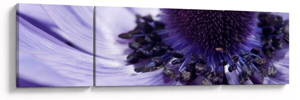 Obraz - Fioletowy kwiat (170x50 cm)