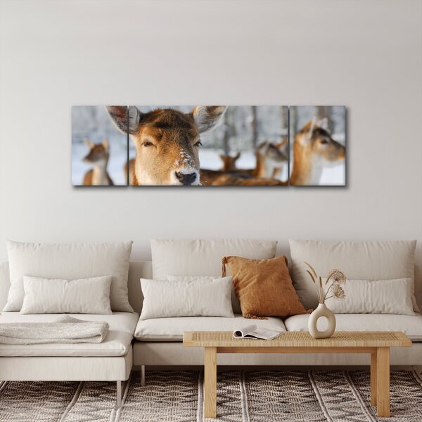Obraz - Jelonki (170x50 cm)