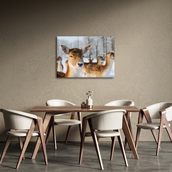 Obraz - Jelonki (70x50 cm)