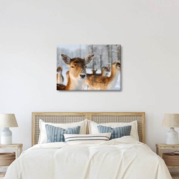 Obraz - Jelonki (70x50 cm)