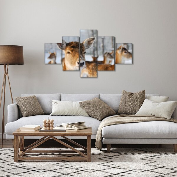 Obraz - Jelonki (125x70 cm)