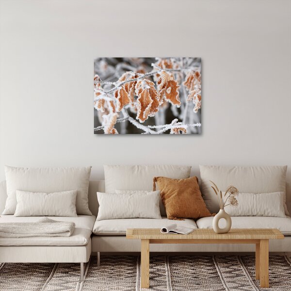 Obraz - Zamarznięte liście (70x50 cm)