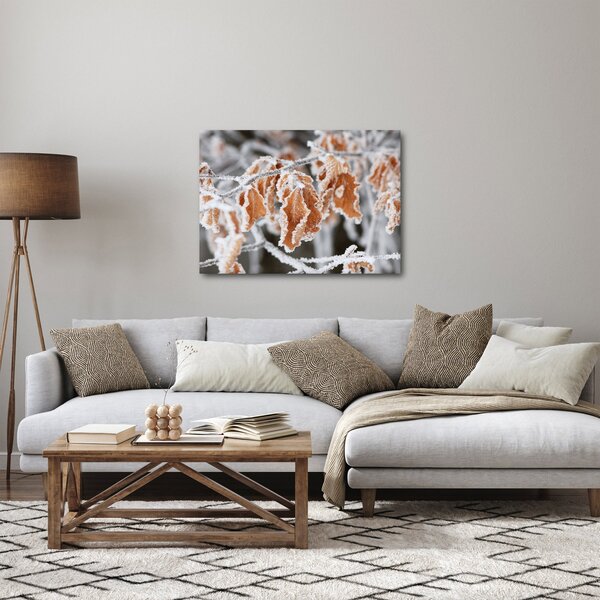 Obraz - Zamarznięte liście (70x50 cm)