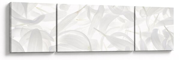 Obraz - Płatki (170x50 cm)
