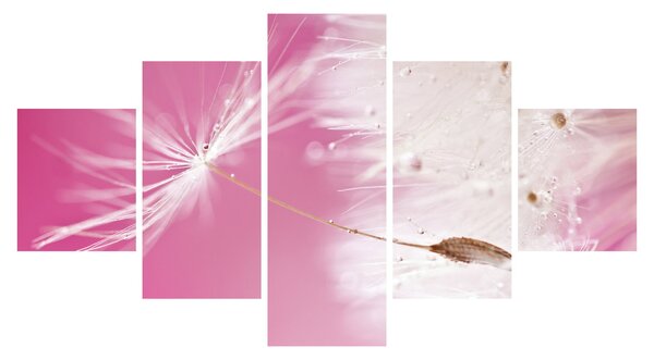 Obraz - Makro kwiat (125x70 cm)