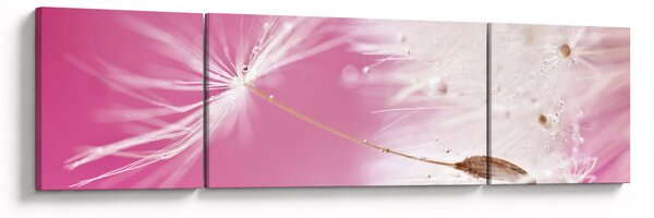 Obraz - Makro kwiat (170x50 cm)