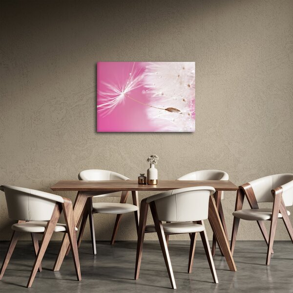 Obraz - Makro kwiat (70x50 cm)