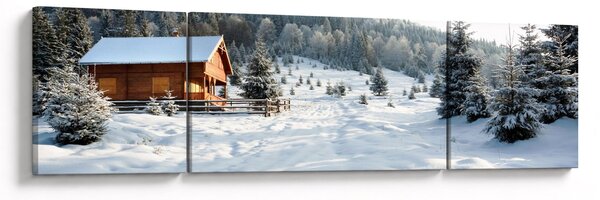 Obraz - Górska chata (170x50 cm)