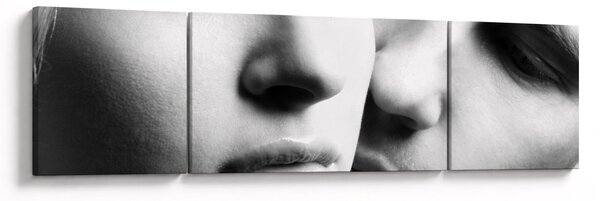 Obraz - Para (170x50 cm)