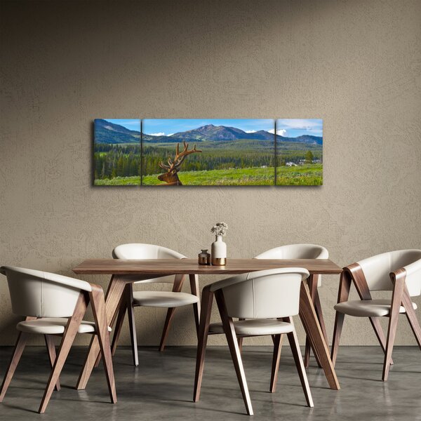 Obraz - Jeleń na łące (170x50 cm)