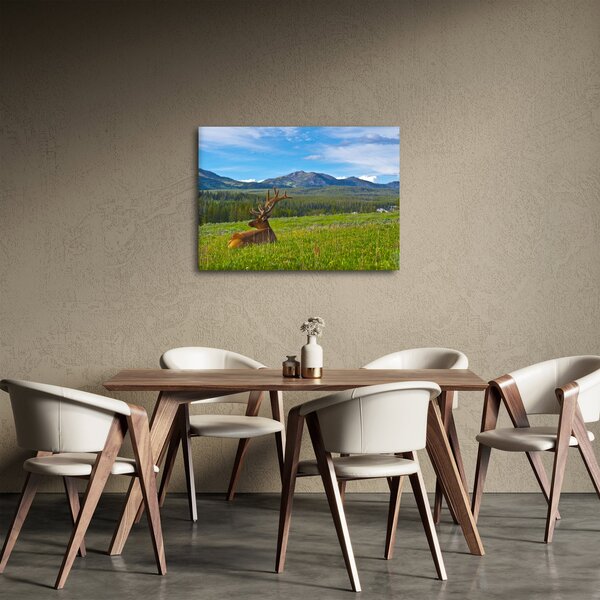 Obraz - Jeleń na łące (70x50 cm)
