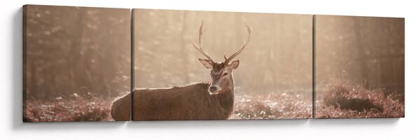 Obraz - Jeleń w lesie (170x50 cm)