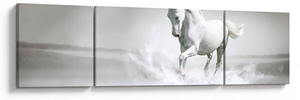 Obraz - Biały koń (170x50 cm)