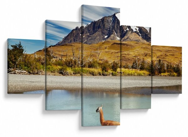 Obraz - Park Narodowy Torres del Paine (125x70 cm)