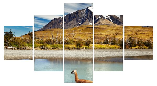 Obraz - Park Narodowy Torres del Paine (125x70 cm)