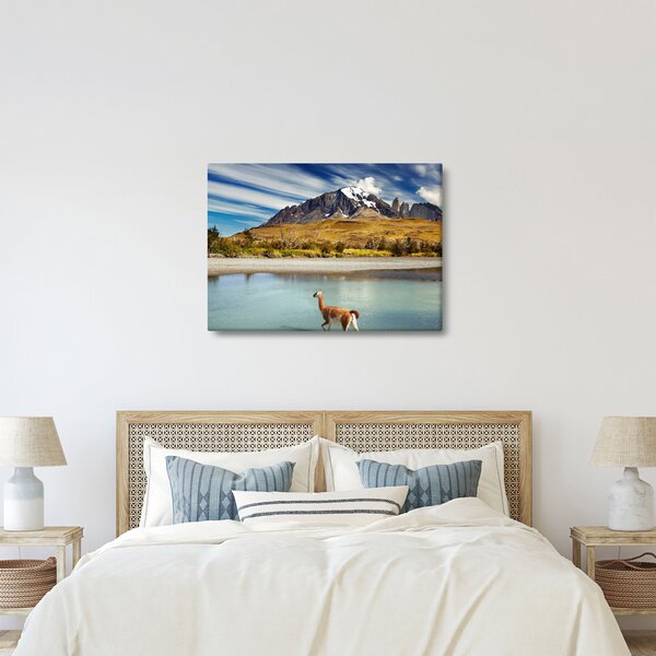 Obraz - Park Narodowy Torres del Paine (70x50 cm)