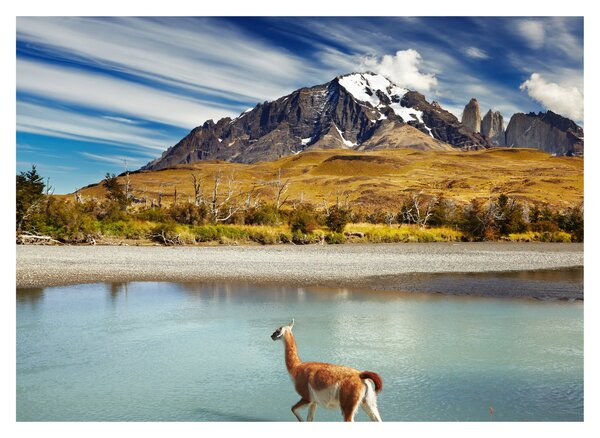 Obraz - Park Narodowy Torres del Paine (70x50 cm)