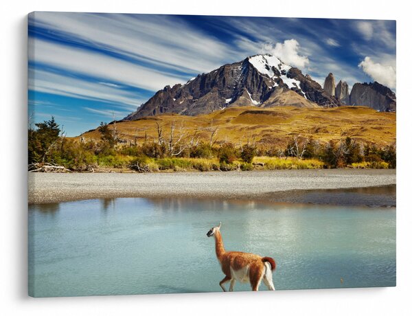Obraz - Park Narodowy Torres del Paine (70x50 cm)